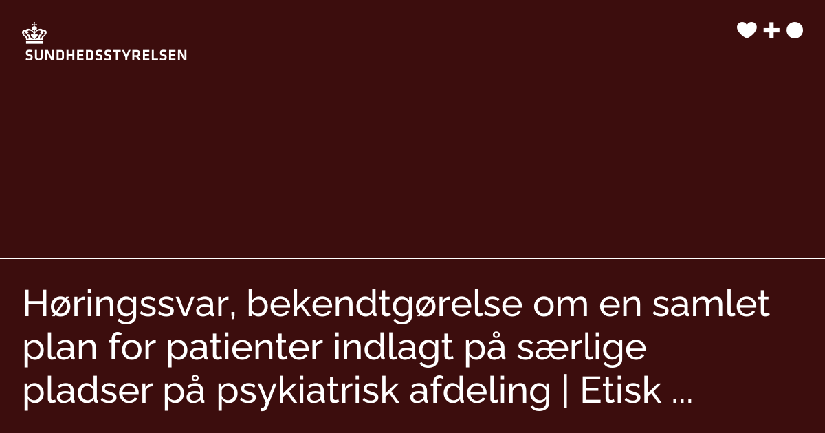 h-ringssvar-bekendtg-relse-om-en-samlet-plan-for-patienter-indlagt-p